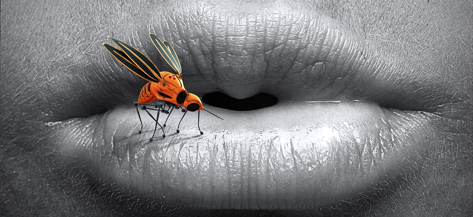 Was zieht Stechmücken an